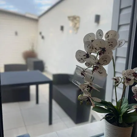 Apartment Deribasovskaya 12