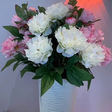 Deribasovskaya 12 アパート
